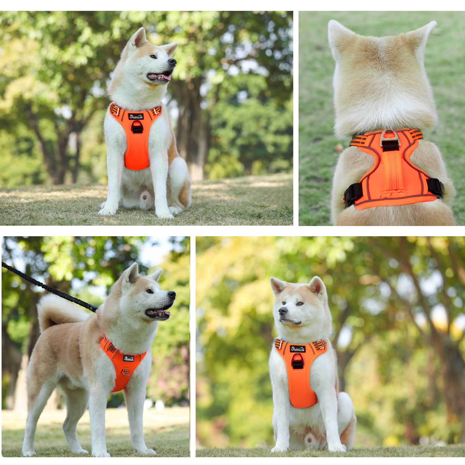 No Pull Dog Harness - Heavy Duty Choke-Free Pet Harness with 2 Leash Clips & Control Handle | Adjustable Padded Vest for Small, Medium, Large Dogs | Perfect for Walking, Training & Outdoor Adventures (Orange, Small)