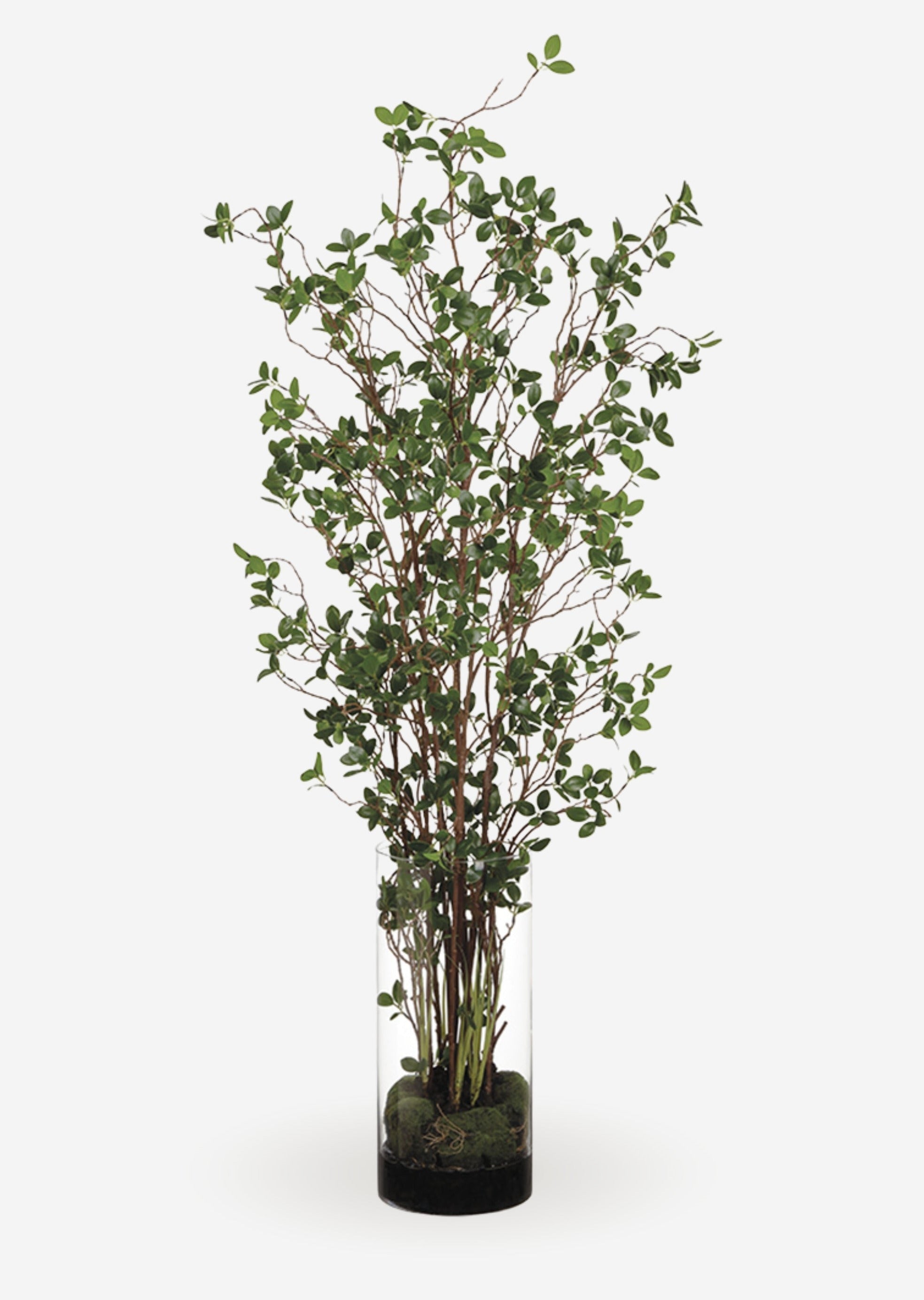 Artificial Tree Plant in Glass Cylinder Vase - 60