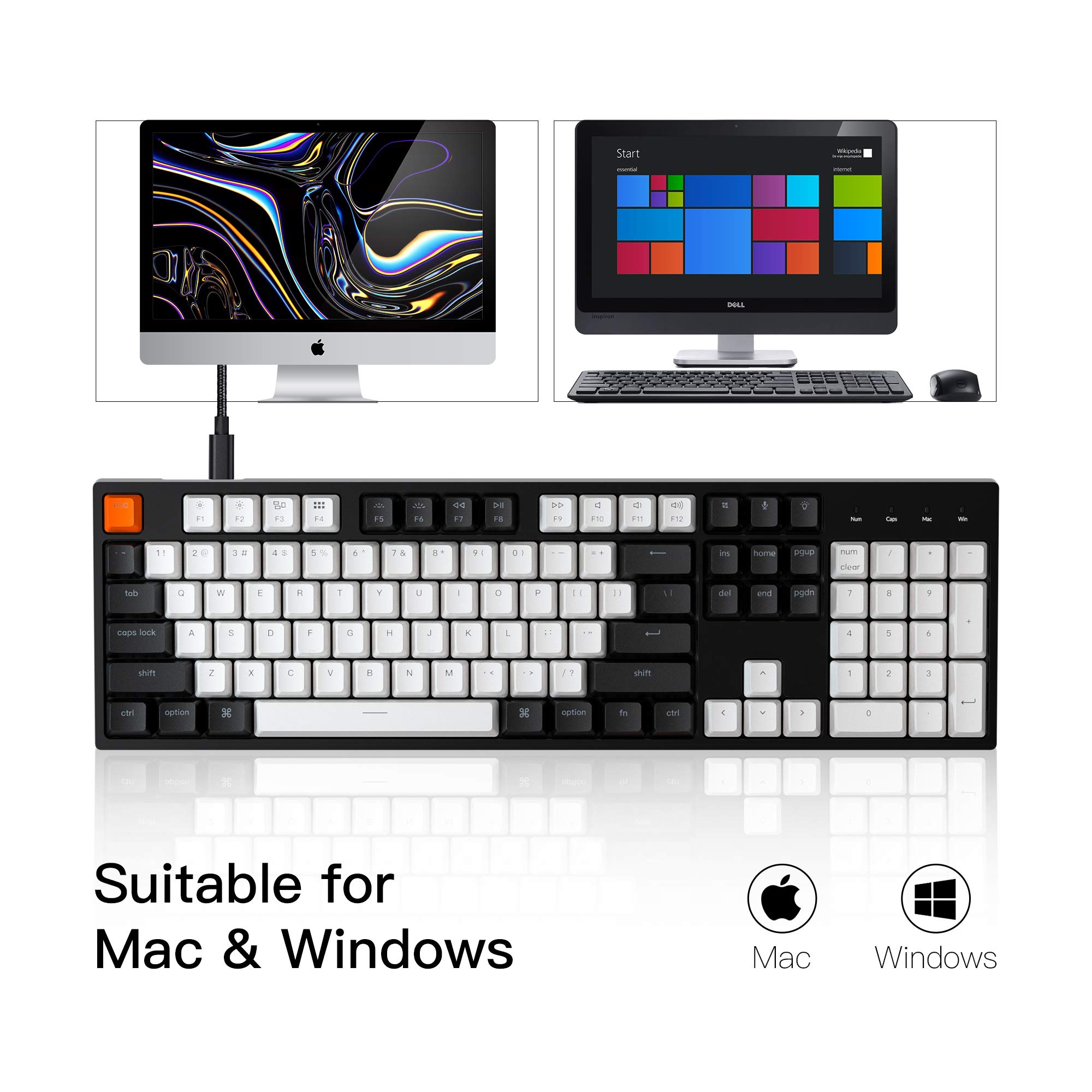 Keychron C2 Wired Mechanical Keyboard - 104 Keys, Gateron Brown Switch, LED Backlight for Mac/Windows - Perfect for Gaming & Office Work