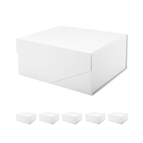 9x6.5x3.8 Inch-White-Pack of 6