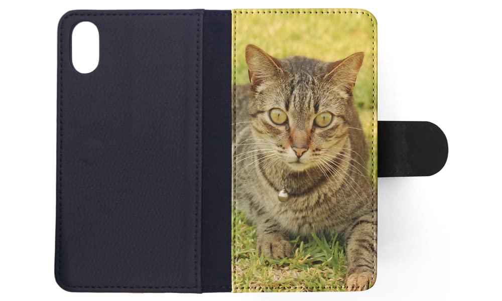 Cute Grey Cat Kitten Feline #2 Flip Wallet Phone Case Cover for Apple iPhone X & iPhone Xs - Perfect for Pet Lovers & Everyday Use