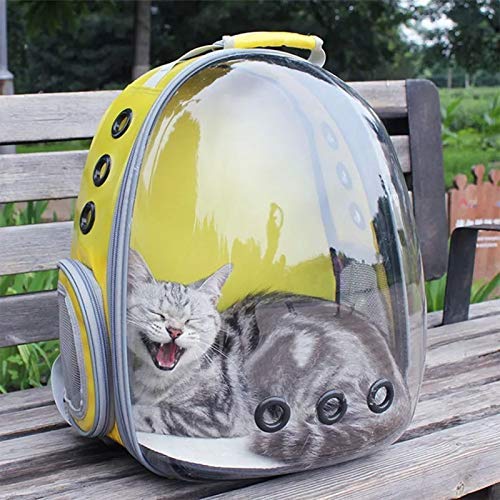 **Pups&Pets Transparent Cat Carrier Backpack - Breathable Pet Travel Backpack for Small Dogs & Cats, Airline Approved, Lightweight & Durable (Yellow) - Perfect for Air Travel, Vet Visits & Outdoor Adventures**