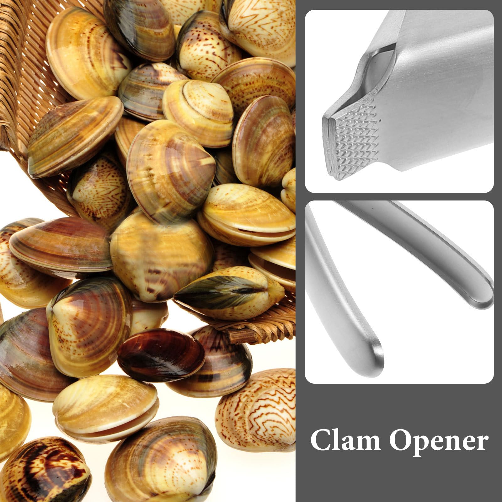 Hemoton Stainless Steel Clam Opener - Rustproof Kitchen Seafood Tool for Oyster Shucking & Shellfish Opening - Durable Kitchen Gadget for Easy Seafood Prep at Home or Restaurants
