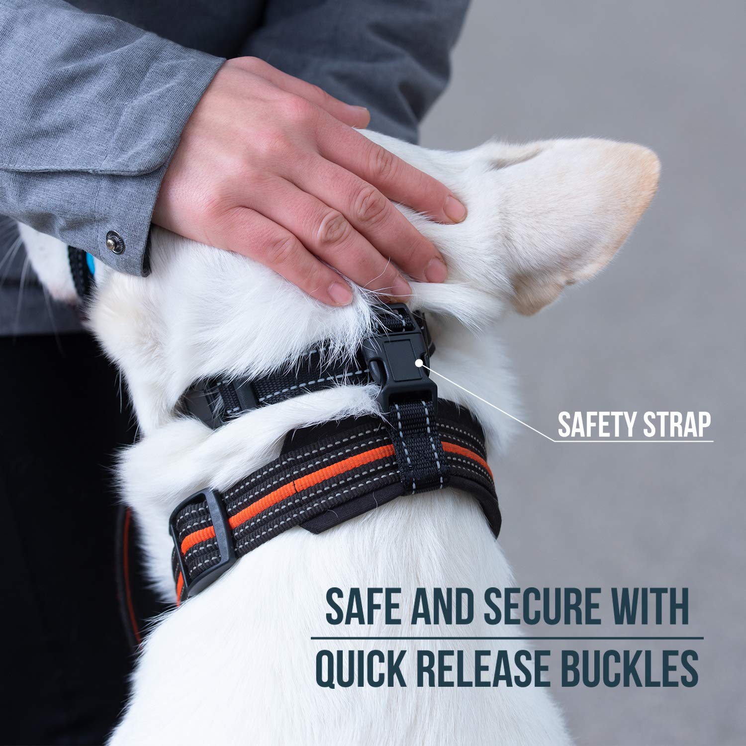 **GoodBoy No-Pull Dog Head Halter with Safety Strap – Gentle Leash Training for Small, Medium & Large Dogs – Padded Comfort Design – Includes Training Guide (Size 2, Black) – Perfect for Walks, Hiking & Obedience Training**