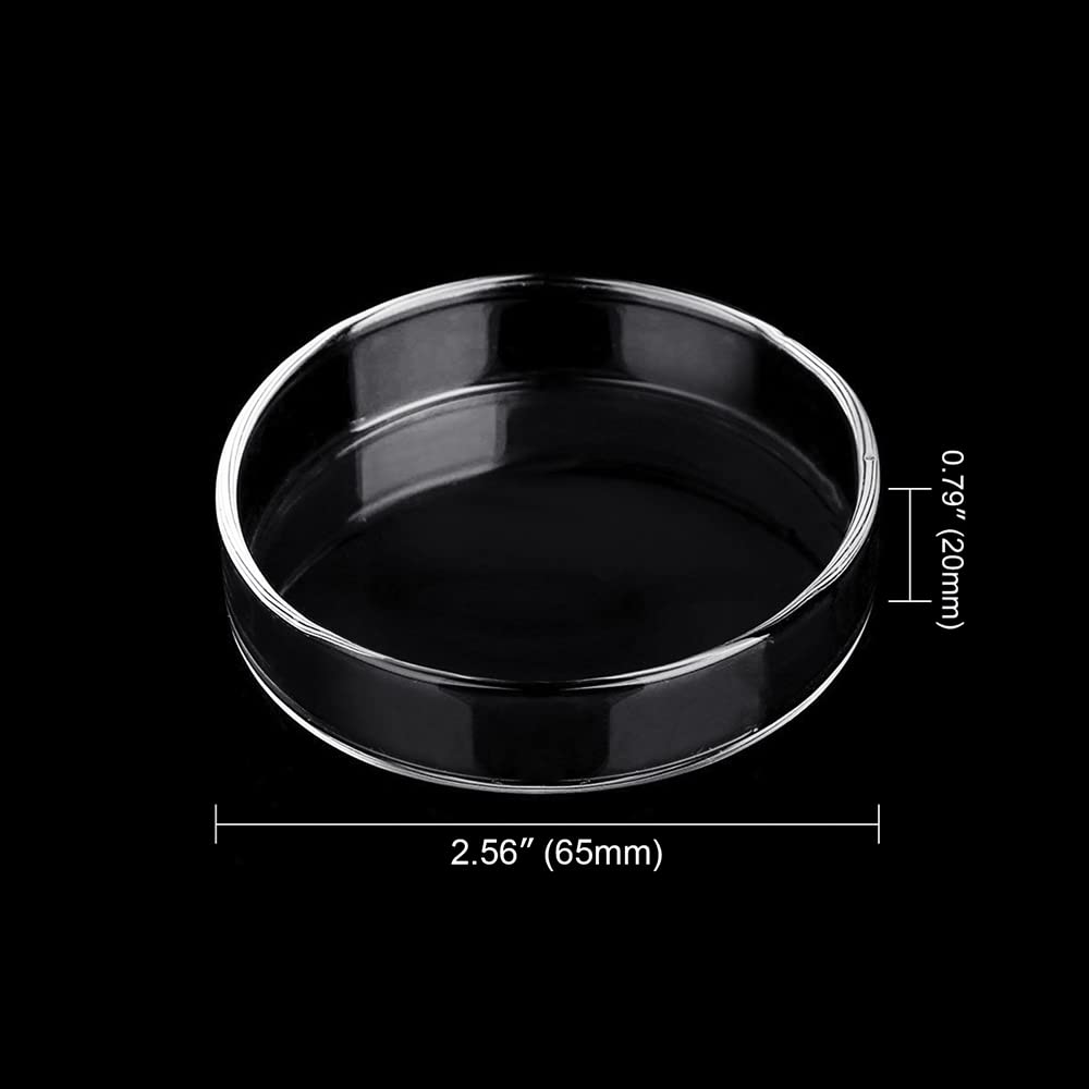 65mm Clear Glass Aquarium Feeder Dish - Round Shrimp & Fish Feeding Bowl for Tanks, Prevents Food Spilling - Perfect for Freshwater & Saltwater Aquariums