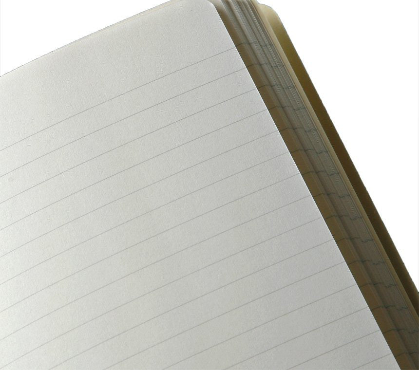 Premium Moleskine Colored Ruled Notebook - Large (5