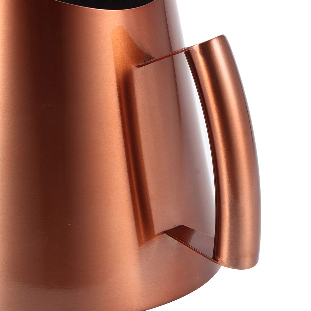 Stainless Steel Watering Can for Indoor & Outdoor Plants - Long Narrow Spout for Succulents, Bonsai & Flowers - Perfect Gardening Kettle for Houseplants, Balcony & Garden Use