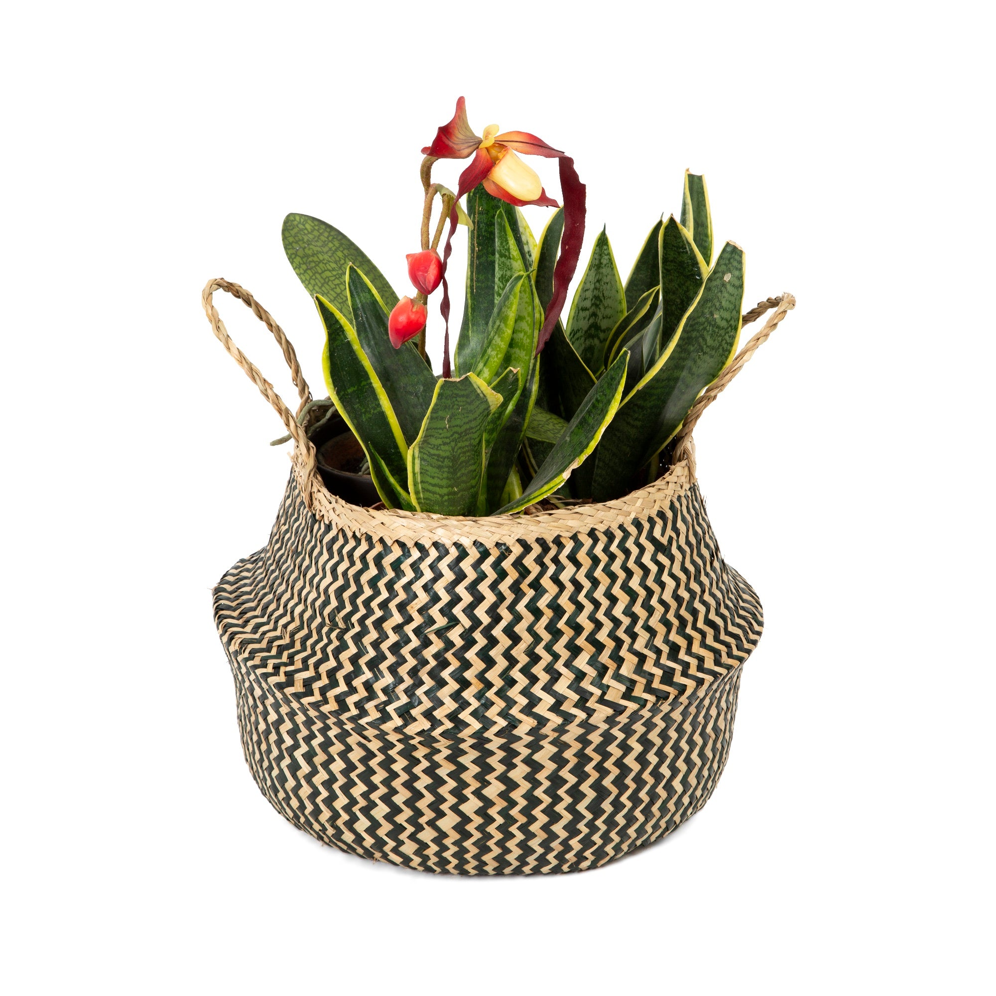 Foldable Seagrass Belly Basket - Eco-Friendly Storage Organizer for Home, Kitchen, or Office - Multiple Sizes Available