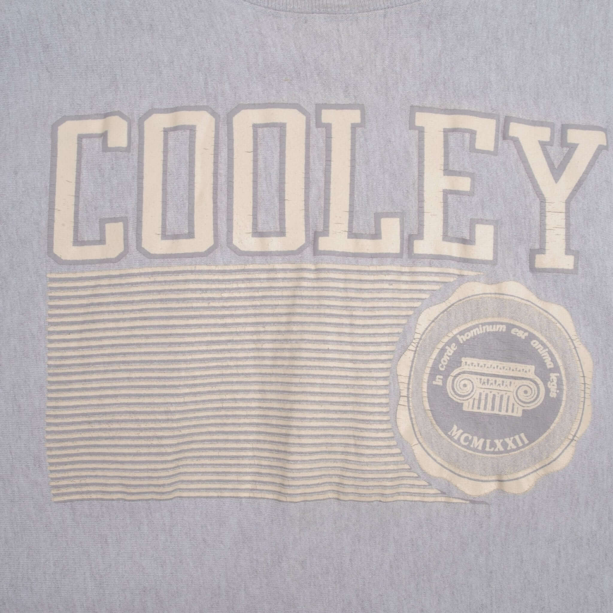 Vintage Champion Reverse Weave Cooley Law School Sweatshirt 1980s XL Made in USA - Retro College Style for Men & Women - Perfect for Casual Wear, Gym, and Street Fashion