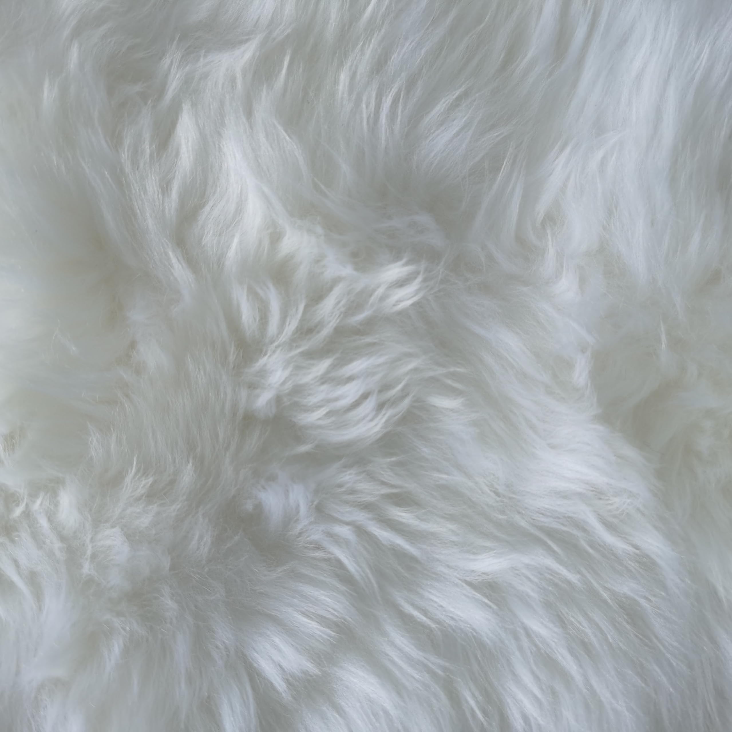 Gracefur Genuine Sheepskin Car Seat Covers - Fluffy Long Wool, Airbag-Safe & Easy Installation, Universal Fit for Cars, SUVs, Trucks, Vans & RVs (White) | Premium Comfort for Winter Driving & Long Road Trips