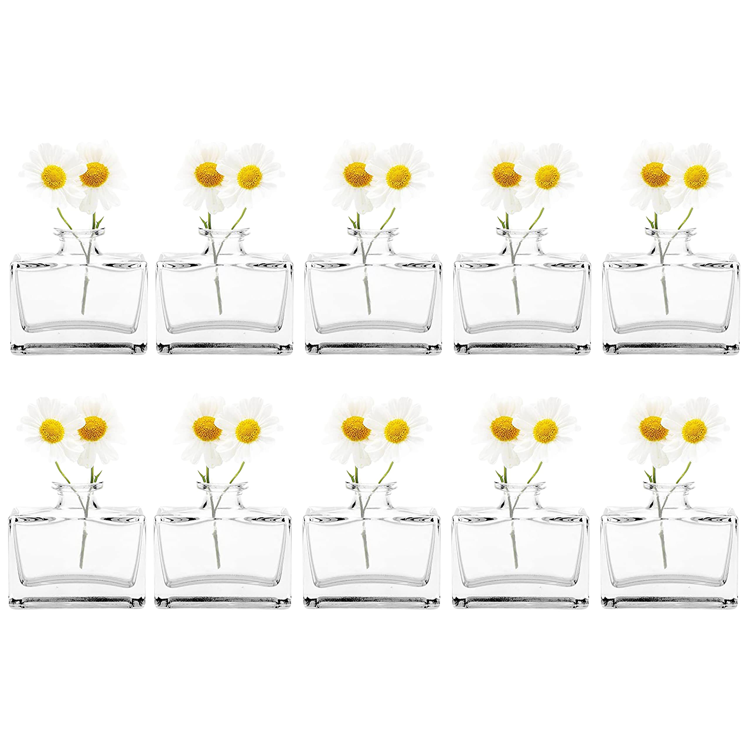CHIVE ‘Loft’ Small Mini Flower Vases - Set of 10 Clear Glass Bud Vases for Wedding Centerpieces, Rustic Home Decor & Events - Durable Premium Quality Glass Vases for Fresh Flowers, Table Decorations and Gift Ideas