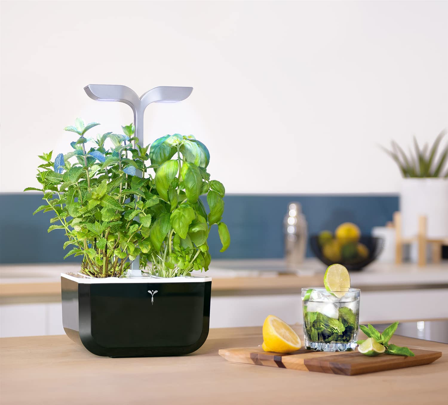 Veritable EXKY Smart Soft Black Hydroponic Growing System - Indoor Garden Kit with LED Grow Light, 2 Organic Pre-Seeded Lingots® Refills, Self-Irrigation & Blinking Alert. Perfect for Home, Office, or Apartment Gardening. Made in France
