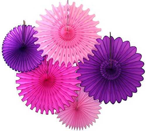 Purple Pink Party