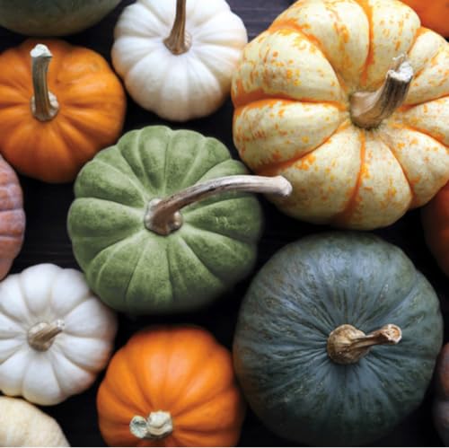 Heirloom Pumpkin