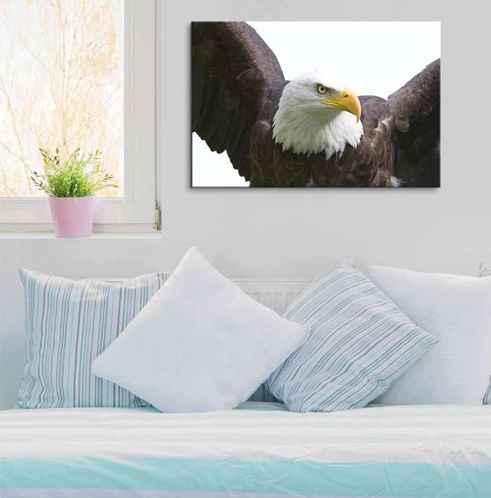 Wall26 - Eagle Canvas Wall Art - 32