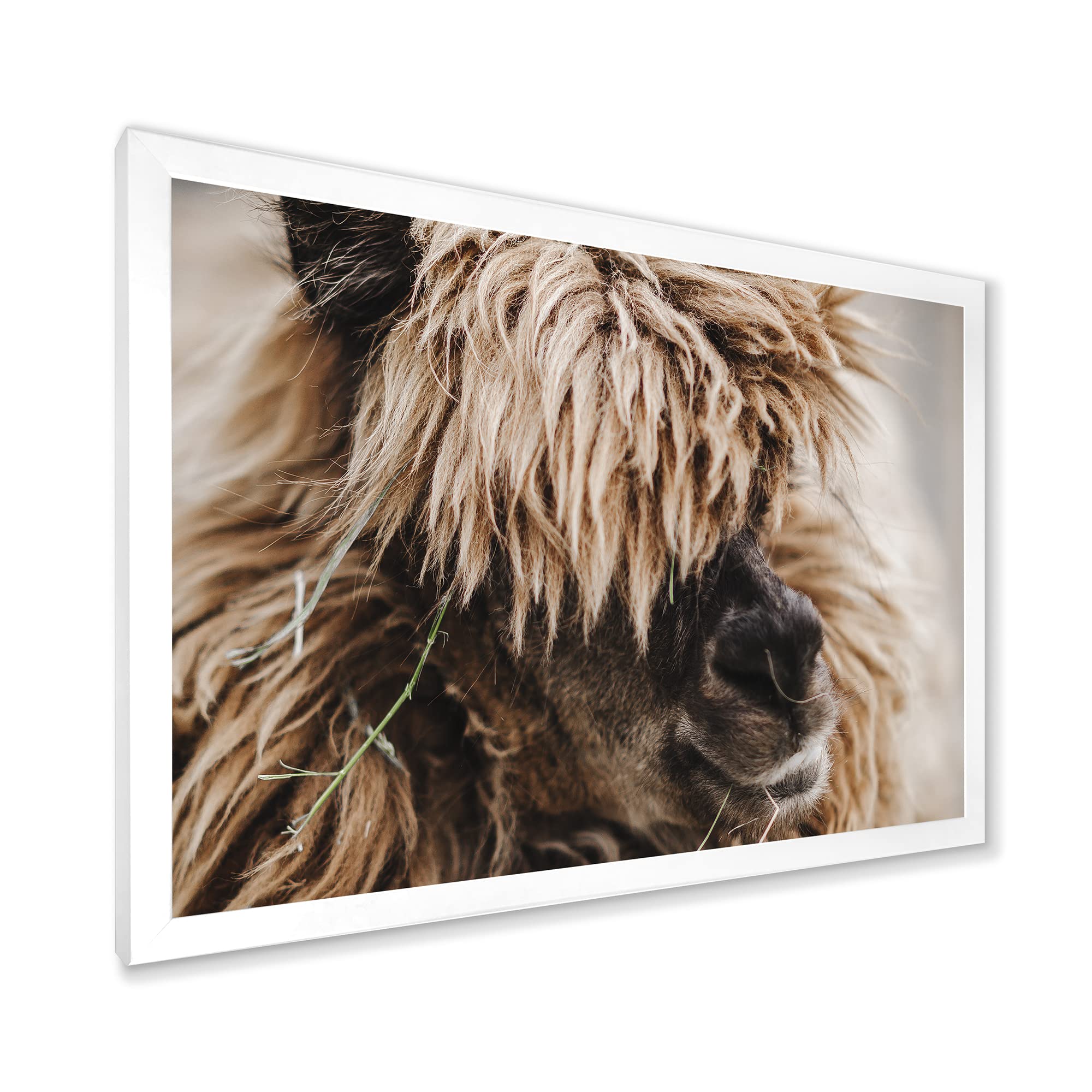 Fluffy Curly Alpaca Portrait - Farmhouse Style Framed Wall Art Decor for Living Room, Bedroom & Nursery | Cozy Animal Painting Home Décor
