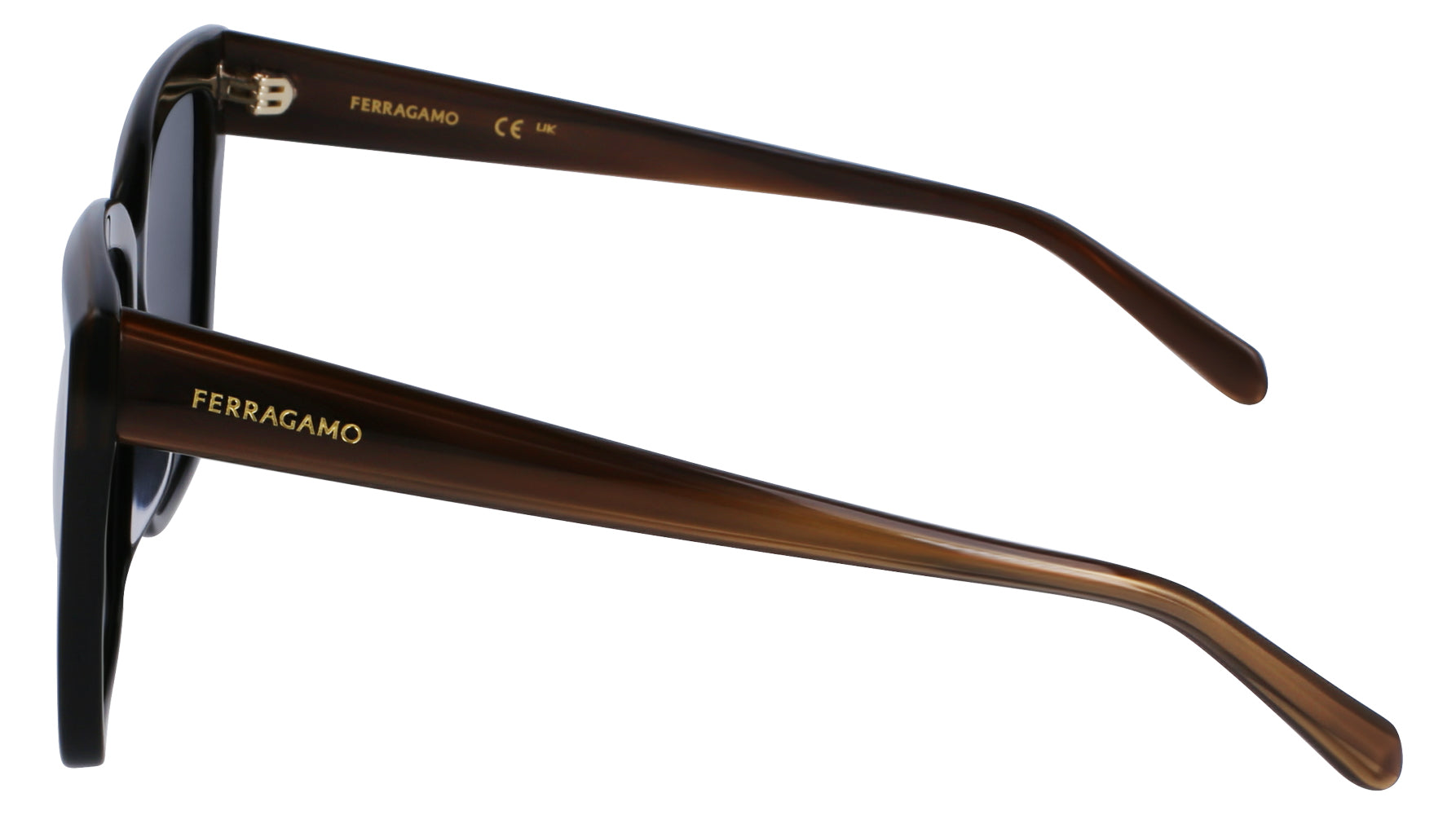 Ferragamo SF1102S Sunglasses for Women - Luxury Designer Shades with UV Protection - Perfect for Outdoor Activities, Travel & Fashion Accessories