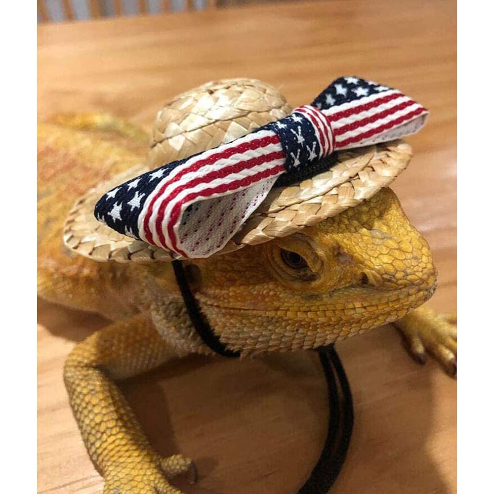 Handmade Bearded Dragon Clothes & Reptile Costumes - Ferret, Gecko, Lizard, Chameleon, Juvenile Iguana & Hamster Accessories | Perfect for Pet Photos, Halloween & Special Occasions