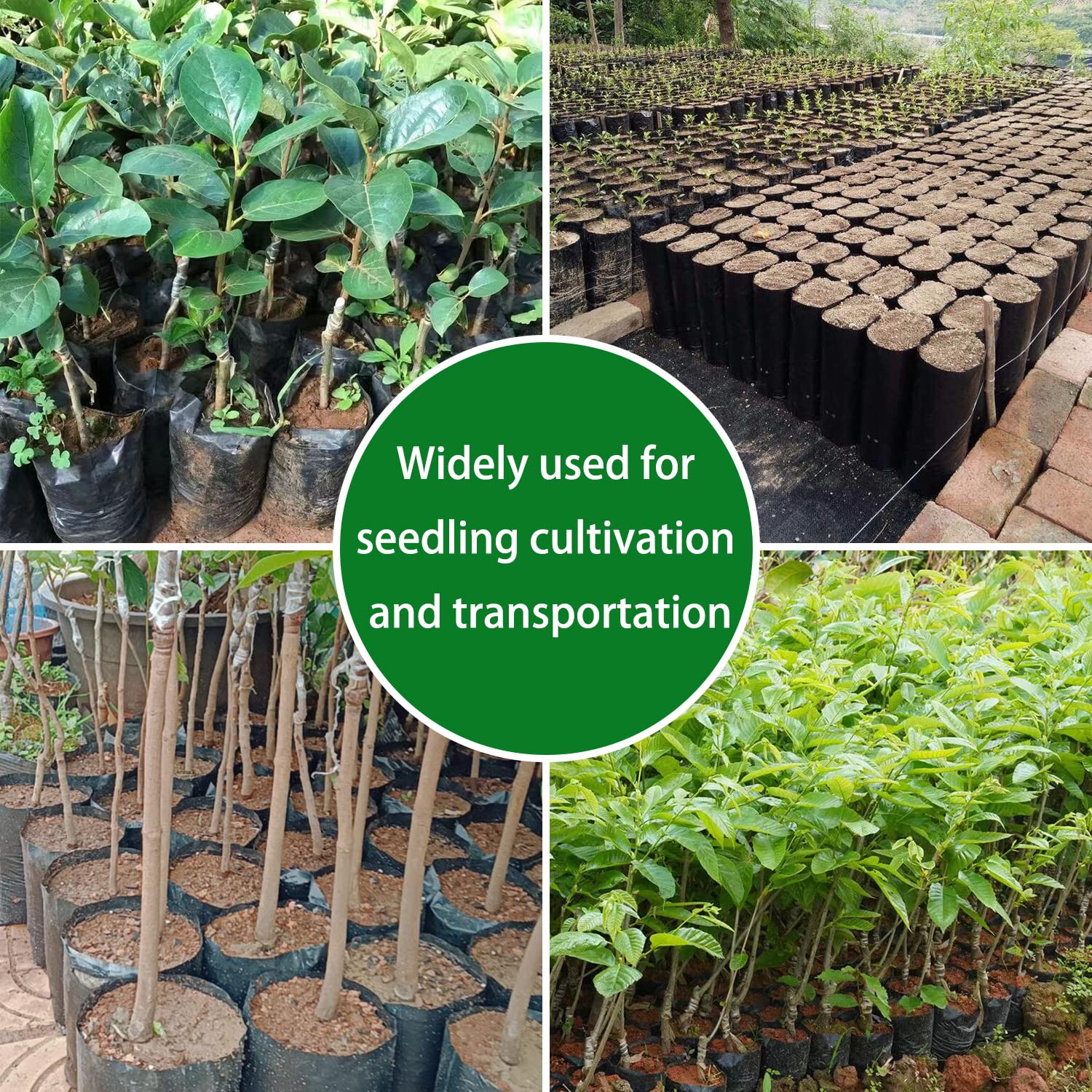 Belit Nursery Growing Bags - 100 Pack Black Plastic Seedling Pots for Gardening, Planting Seeds, Fruit Trees & Saplings (7