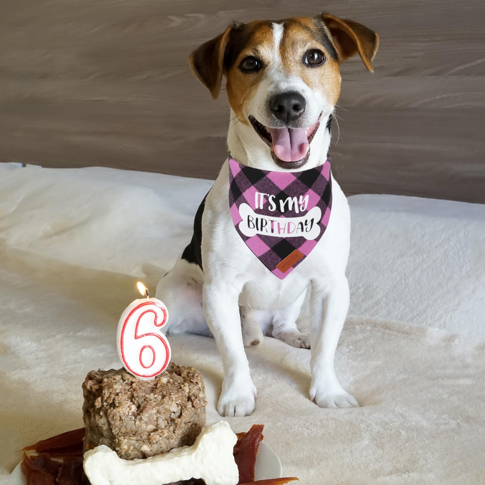 PTDECOR Pink Plaid Dog Birthday Bandana Scarf for Medium & Large Dogs - Perfect for Birthday Parties & Pet Celebrations (Pink, Large)