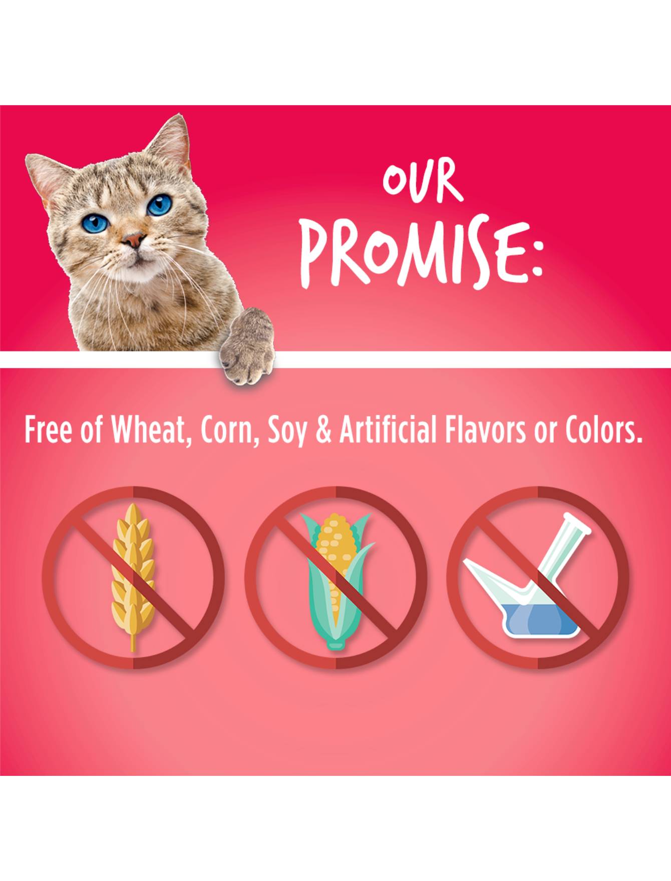 Fruitables Crunchy Salmon with Cranberry Cat Treats 2.5oz - Healthy Natural Cat Snacks for Indoor & Outdoor Cats - Perfect for Training, Rewards, and Bonding Time