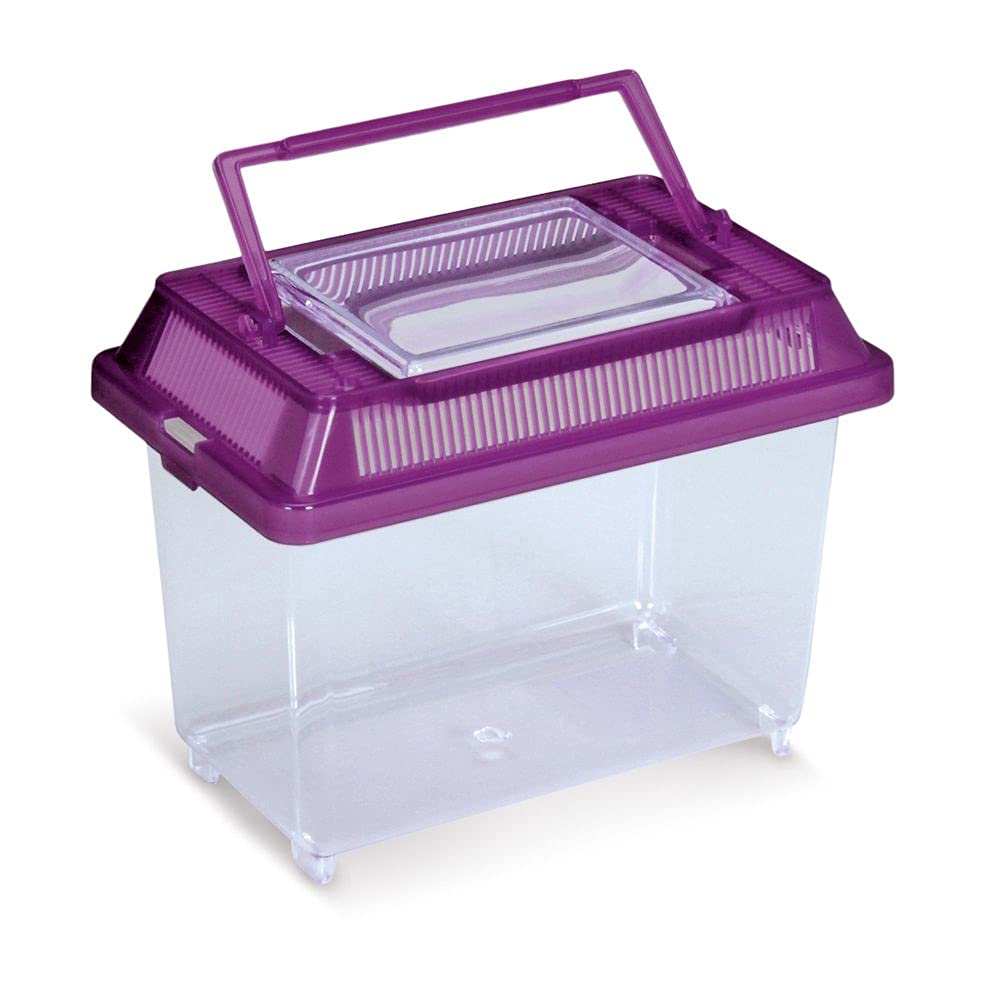 Mini Plastic Aqua-Terrarium for Reptiles & Amphibians - Ideal for Small Pets, Home Decor, and Classroom Science Projects