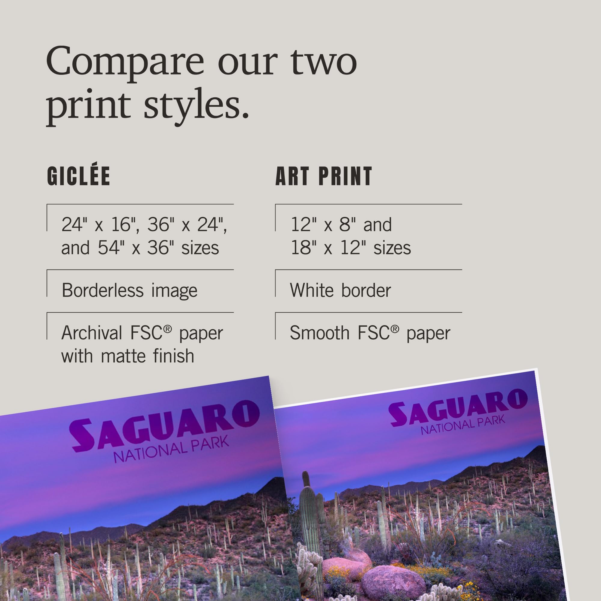 Lantern Press 16x24 Inch Giclee Art Print - Saguaro National Park Arizona Landscape with Purple Dusk - Perfect for Home Decor, Office Wall Art & Nature Lover Gifts