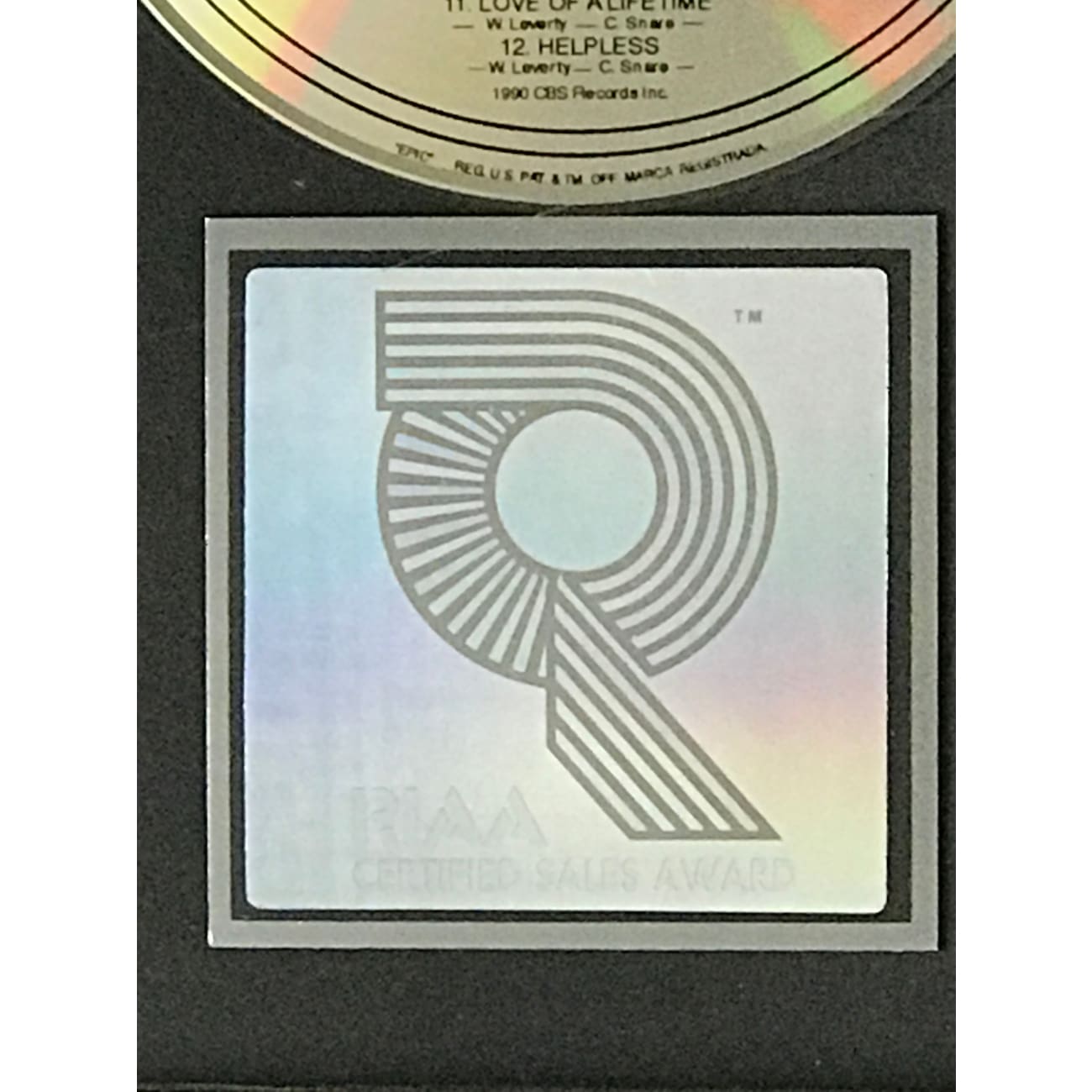 FireHouse Debut RIAA Platinum Album Award - Official Music Collectible for Fans & Display at Home, Office, or Music Studio