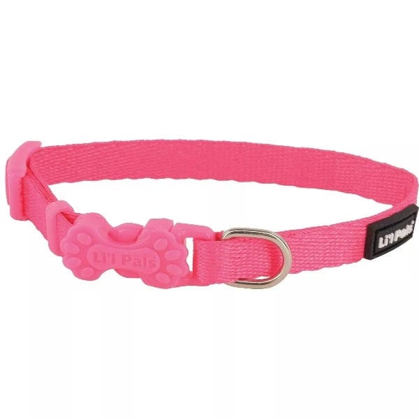 Adjustable Dog Collar for Small Dogs - Soft Nylon Pet Collar with Buckle - Perfect for Walking, Training & Daily Use