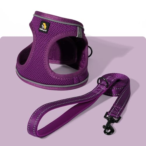 Grape Purple