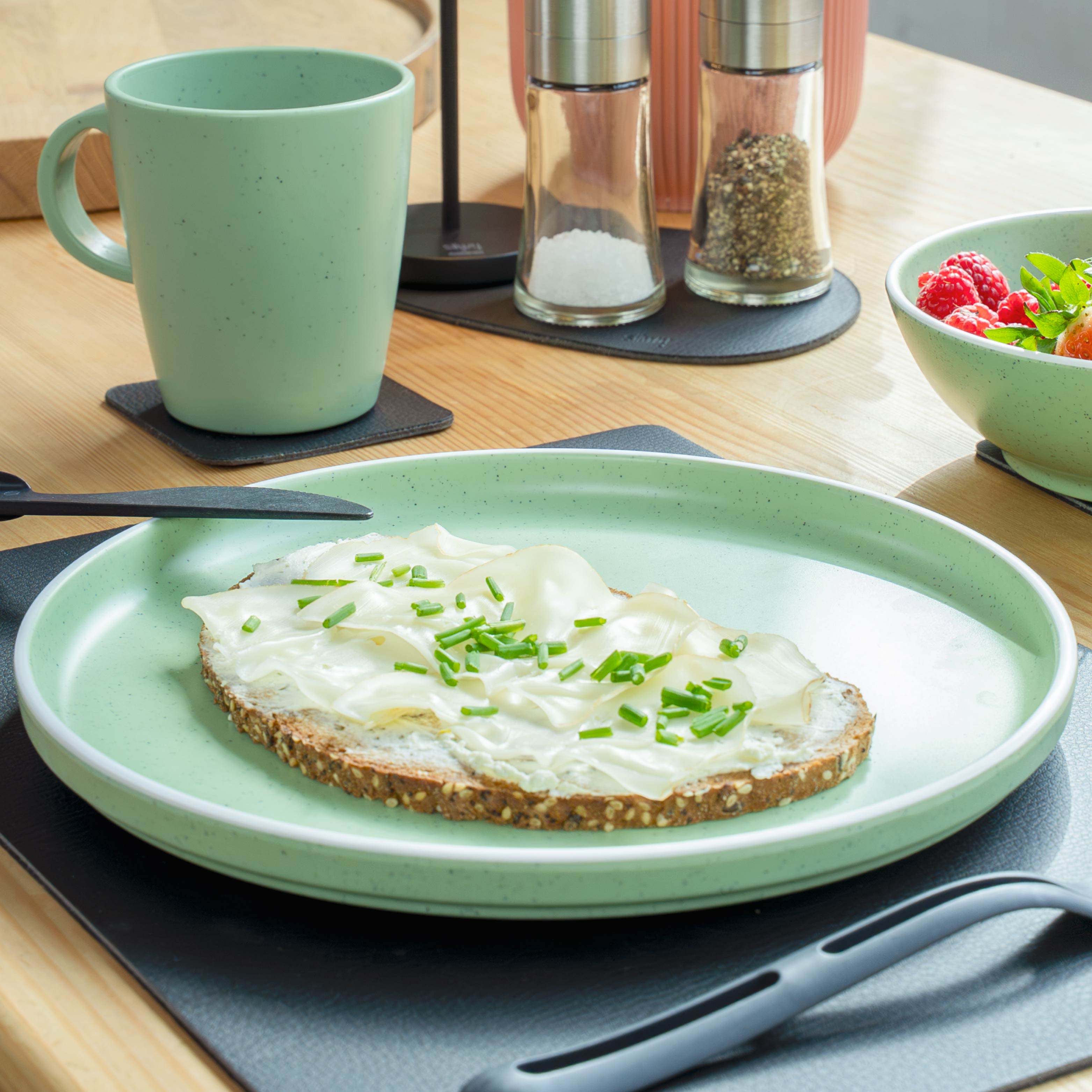 DOLOMIT GREEN Plastic Plates with Magnet - 25 cm Set for Picnics, Camping & Outdoor Dining