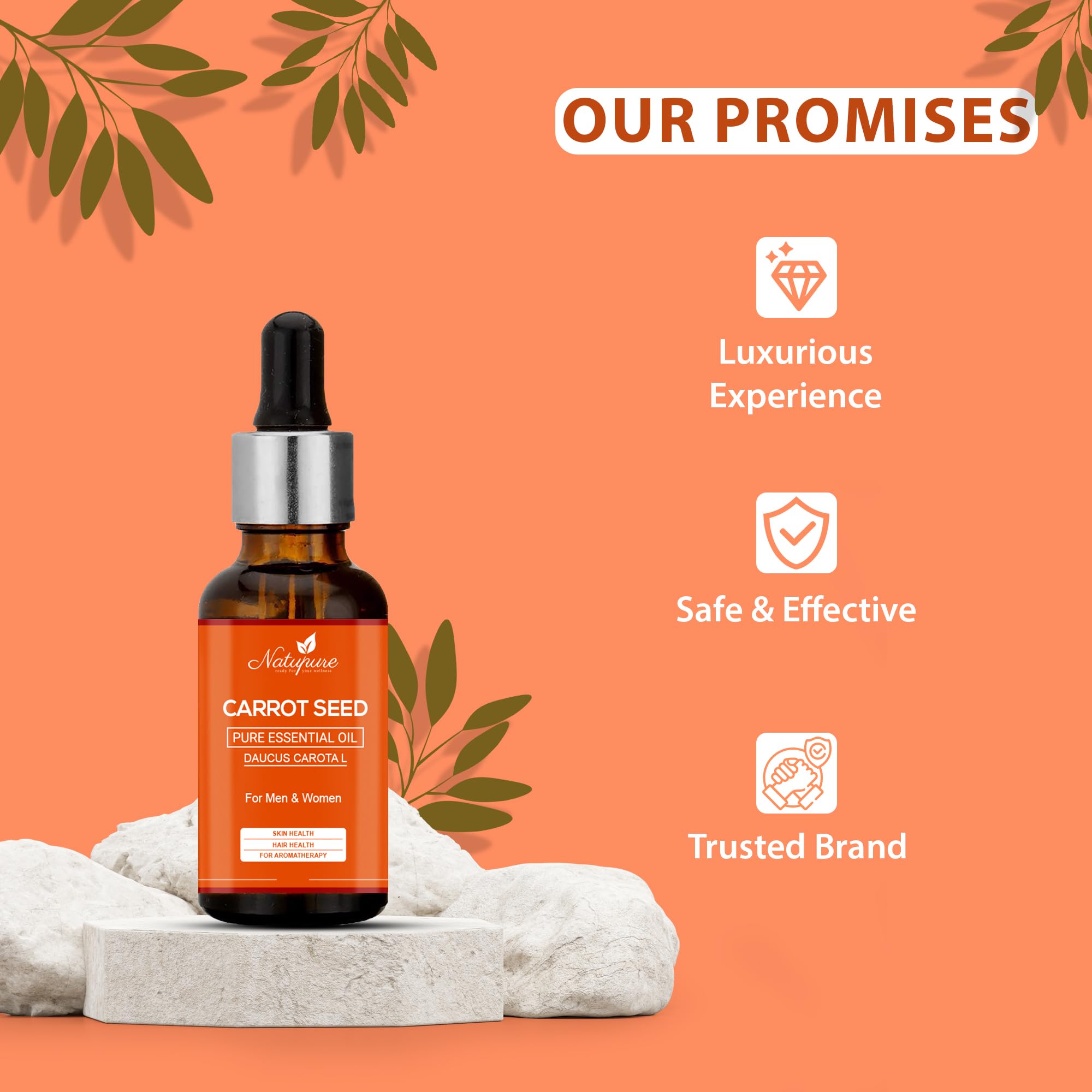 Natupure 100% Pure Carrot Seed Essential Oil - Undiluted, Natural for Skin & Hair Care - 30ml Bottle - Perfect for Aromatherapy, Massage & DIY Beauty Recipes