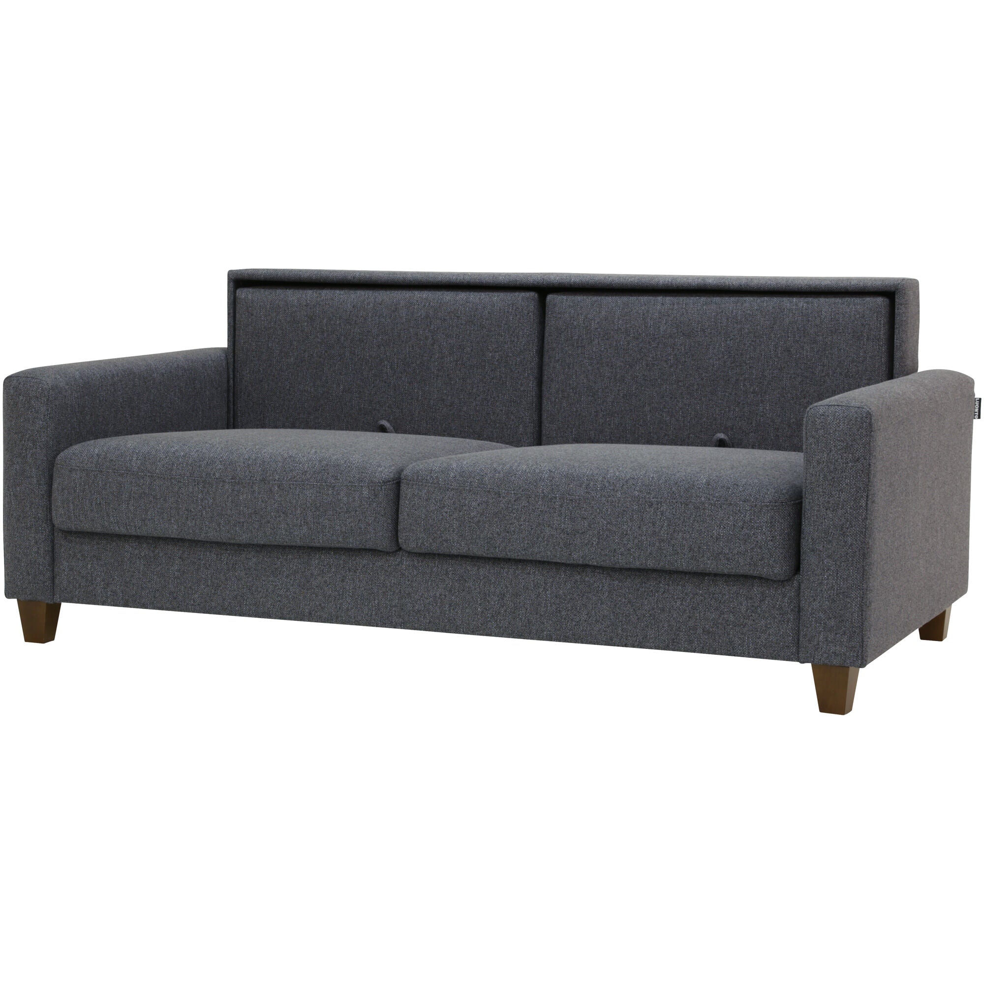Nico Sleeper Loveseat - Convertible Sofa Bed with Storage | Comfortable Small Space Furniture for Living Room, Guest Room & Studio Apartments
