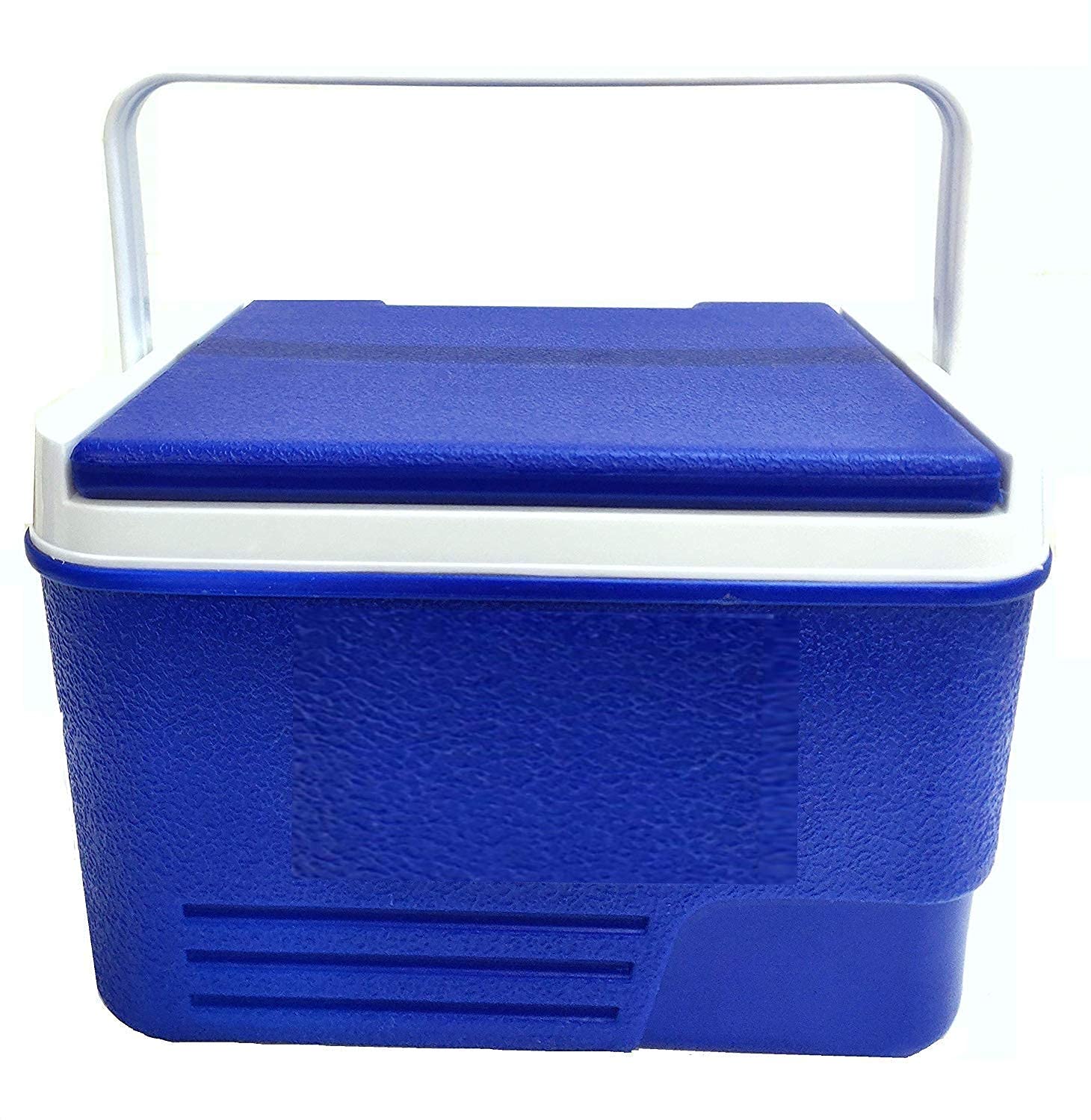 DXENT 14L Insulated Cooler Box - Portable Ice Chest for Drinks, Wine, Medicine & Blood Storage - Multi-Purpose Chiller for Home, Outdoor, Camping & Travel - Leakproof & Durable with Comfortable Handle (Multicolor)