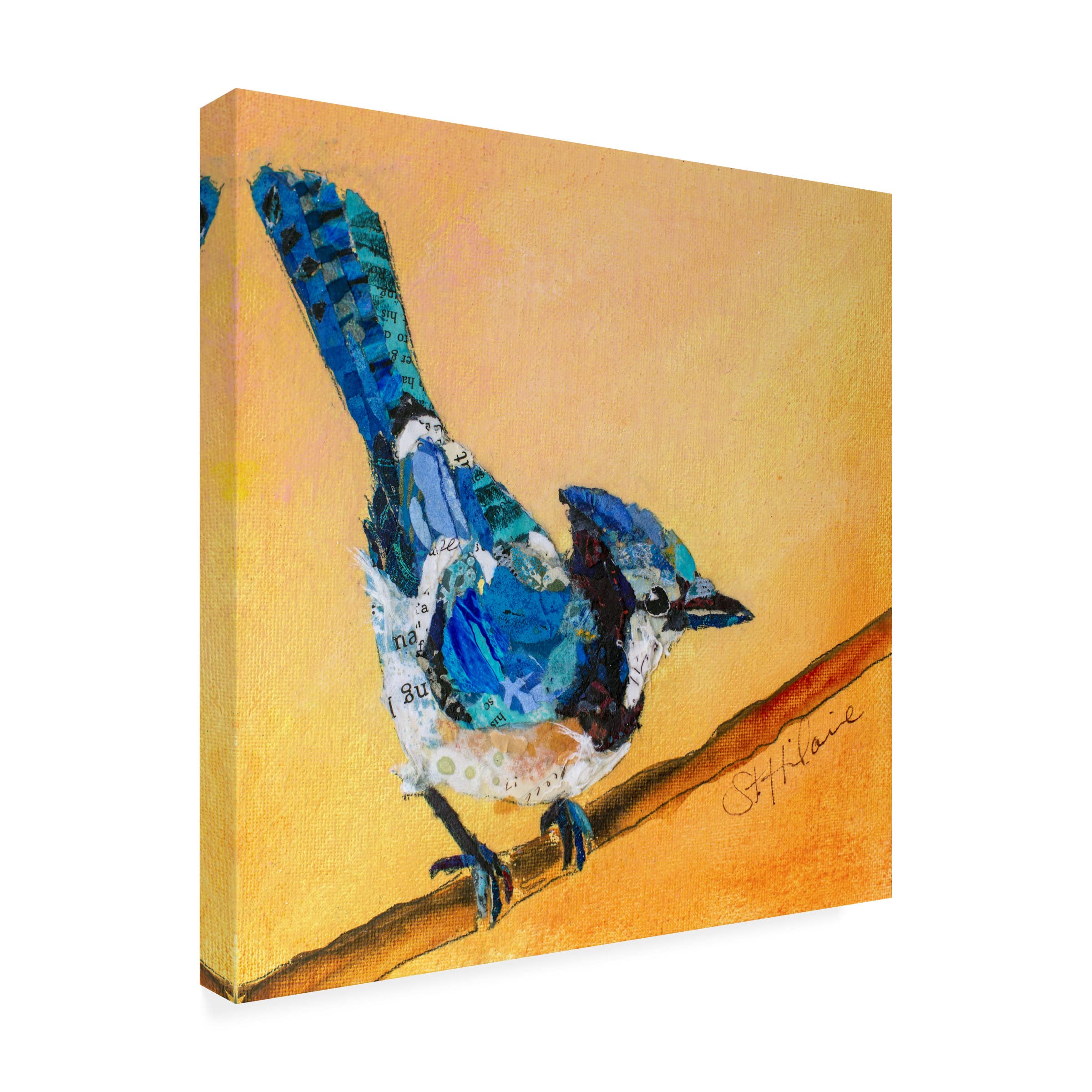 Blue Jay Blessing Canvas Art Print by Elizabeth St Hilaire | Trademark Fine Art | Hand-Painted Wildlife Home Decor for Living Room, Bedroom & Office Wall