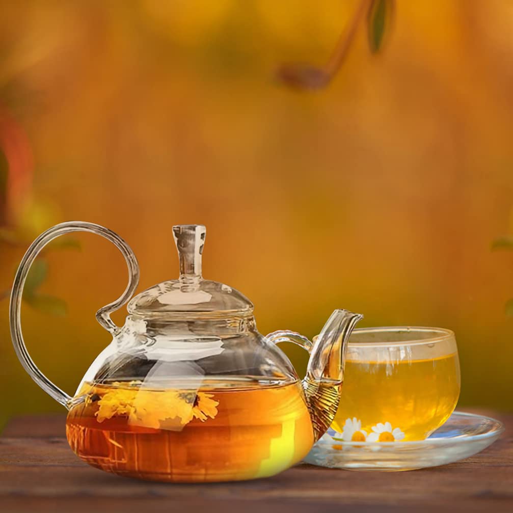 Glass Teapot with Infuser - Heat Resistant Tea Maker Kettle for Home, Hotel & Office - Perfect for Loose Leaf Tea, Herbal Tea & Iced Tea Brewing