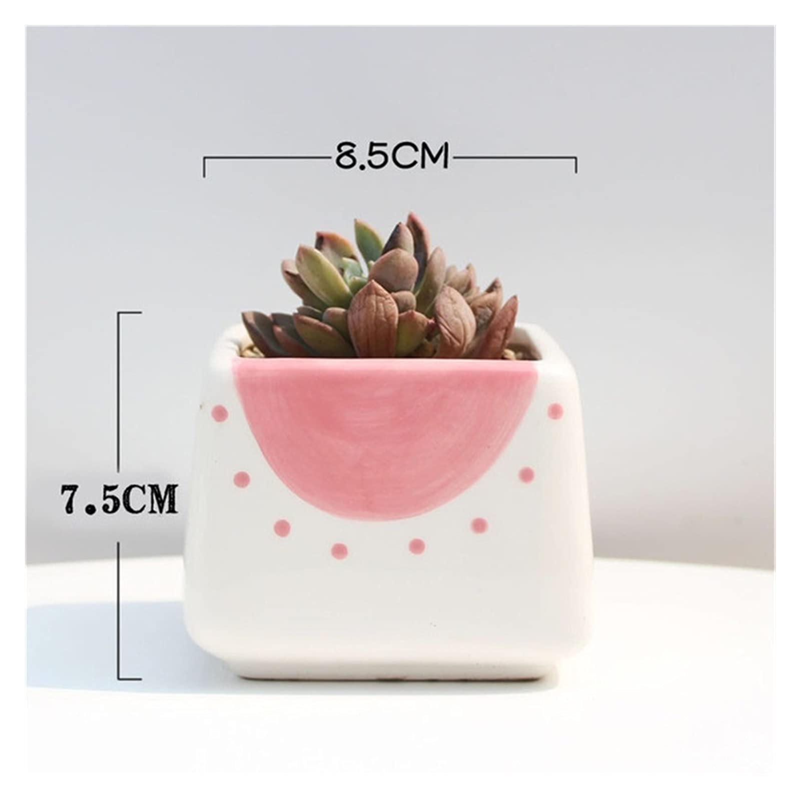Hand-Painted Ceramic Flower Pots - Set of 8 Cute Succulent Planters with Glaze Finish for Home, Garden & Indoor Decor | Perfect for Windowsills, Office Desks & Gift Giving