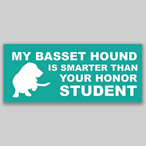 Funny Basset Hound Keychain - Double Sided Stainless Steel Key Ring Holder for Car Keys & Key Finder - Perfect Gift for Dog Lovers & Honor Student Humor