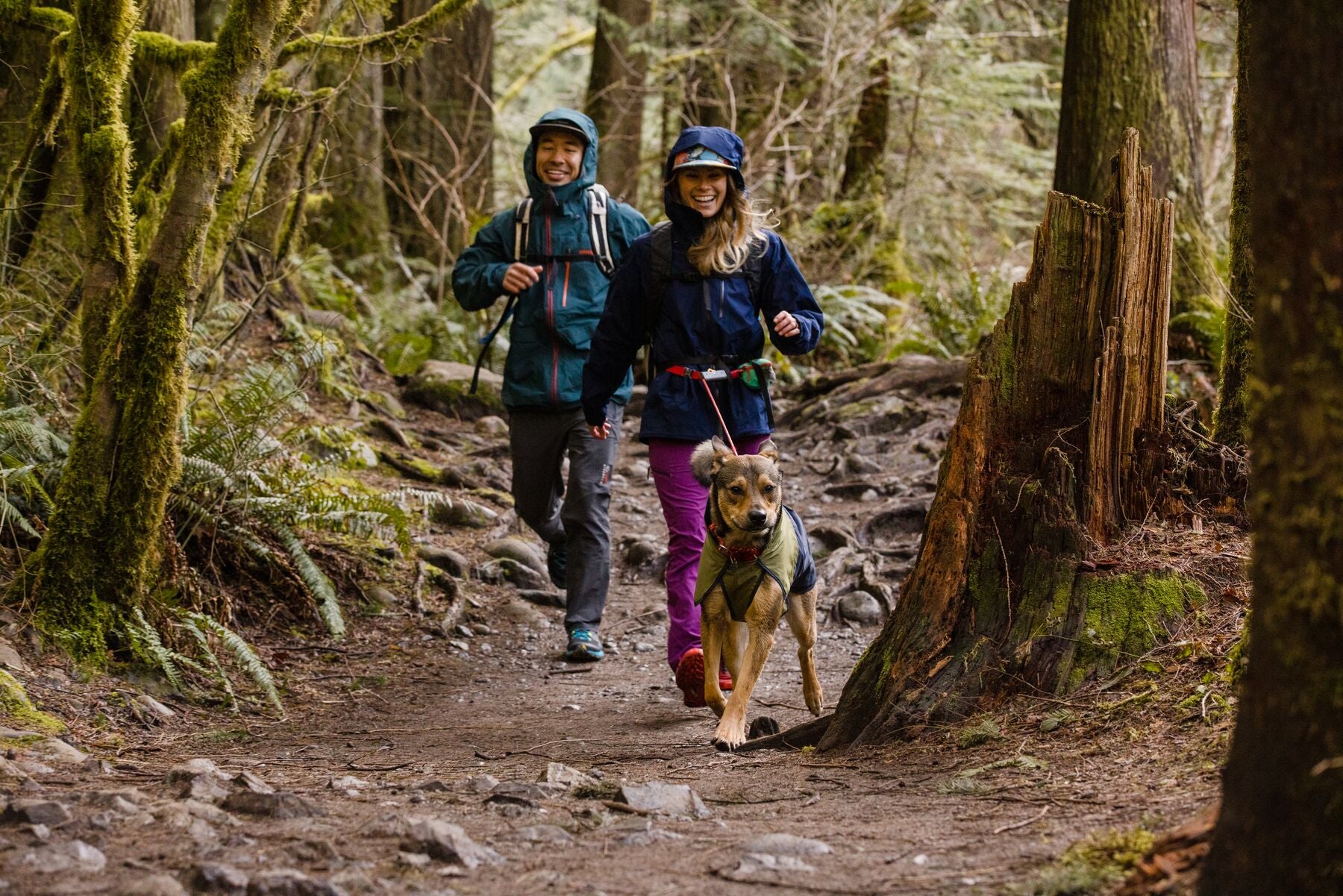 Ruffwear Hitch Hiker Adjustable Long Dog Leash with Locking System - Hands-Free, Slate Blue - Perfect for Hiking, Running & Outdoor Adventures with Your Pet