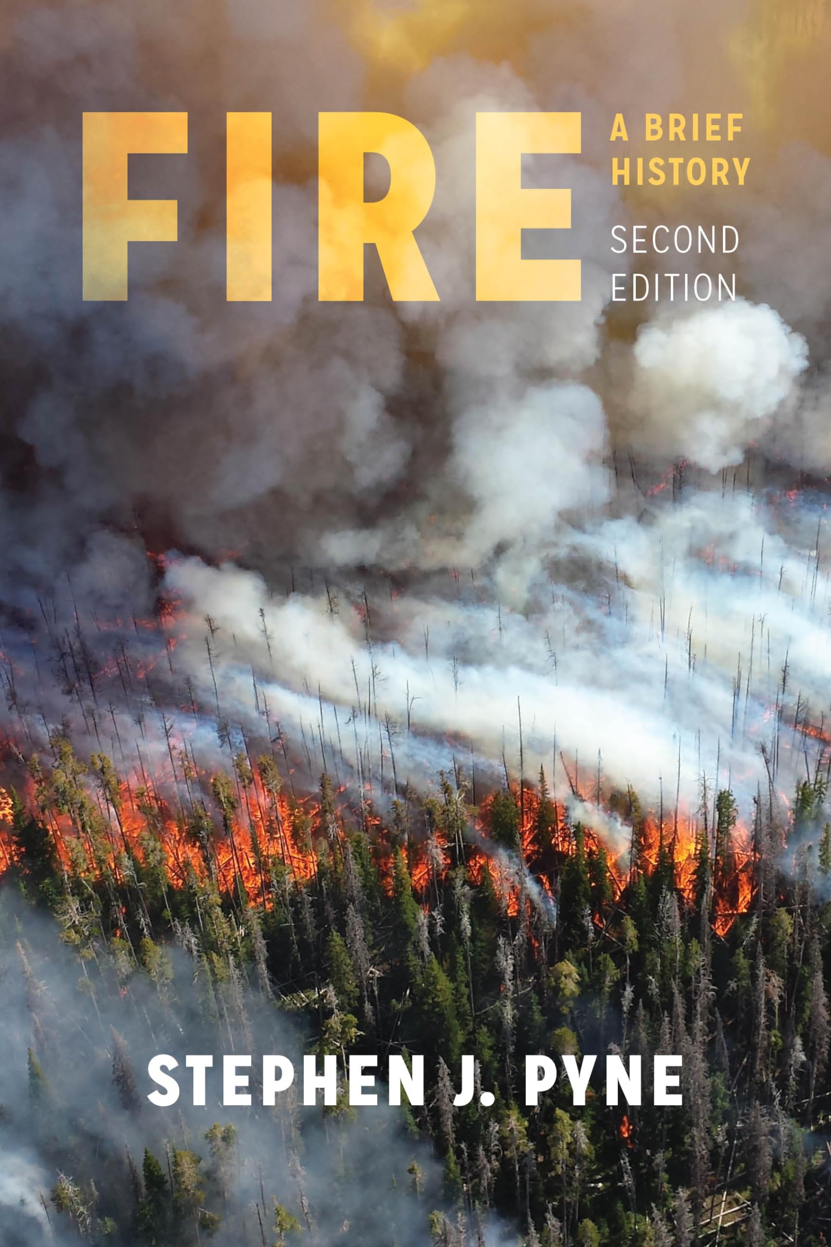 Fire: A Brief History - Weyerhaeuser Environmental Books | Historical Ecology & Environmental Science Study | Perfect for Students, Researchers & Nature Enthusiasts