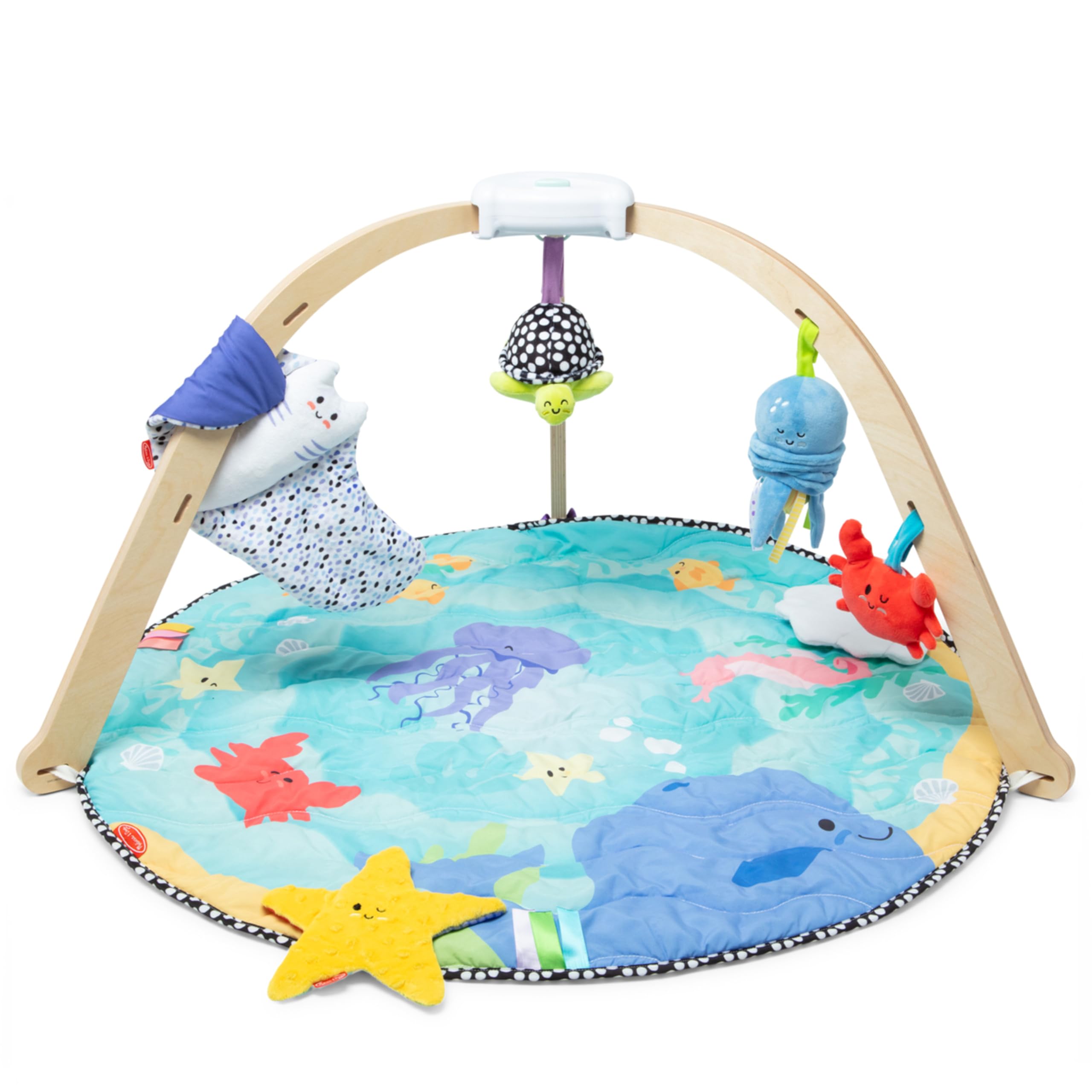 Melissa & Doug Ocean Play Gym - Reversible Mat & 5 Toys for Infants 0-9M, FSC-Certified | Baby Tummy Time & Sensory Play