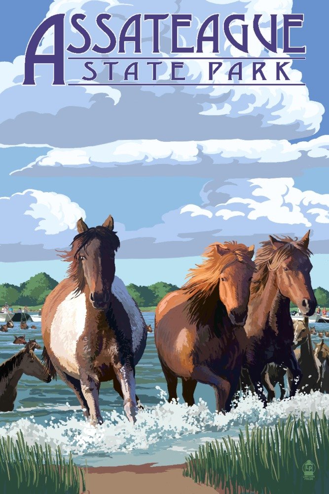 12x18 Gallery Quality Metal Art Print - Assateague State Park Maryland Pony Swim - Aluminum Wall Decor for Living Room, Office & Coastal Home Decor