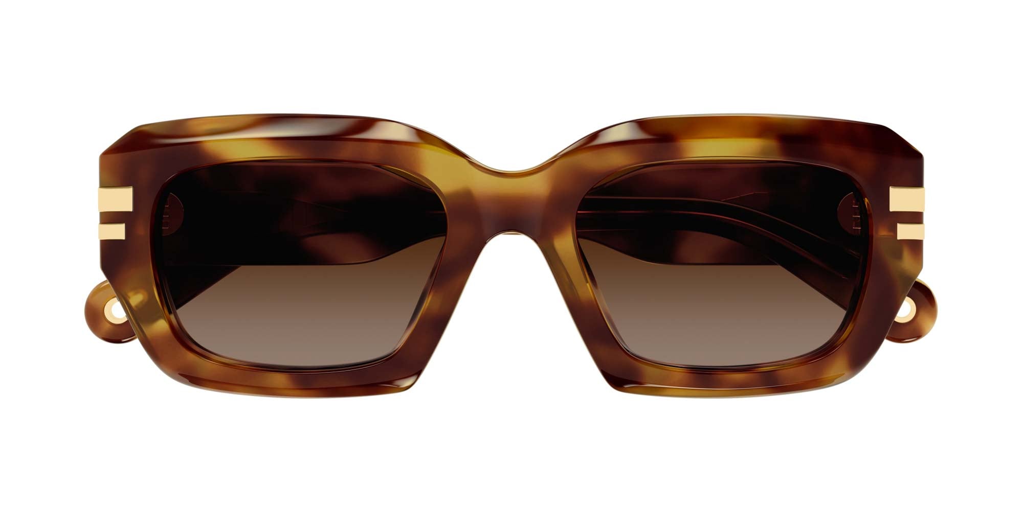 Chloe CH0256S Sunglasses for Women - UV Protection, Fashionable & Lightweight - Perfect for Driving, Travel & Outdoor Activities