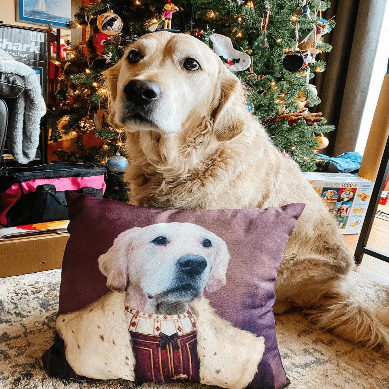 The Young King Custom Throw Pillow - Personalized Home Decor for Sofa, Bed & Nursery - Perfect Gift for Housewarming & Birthday Presents