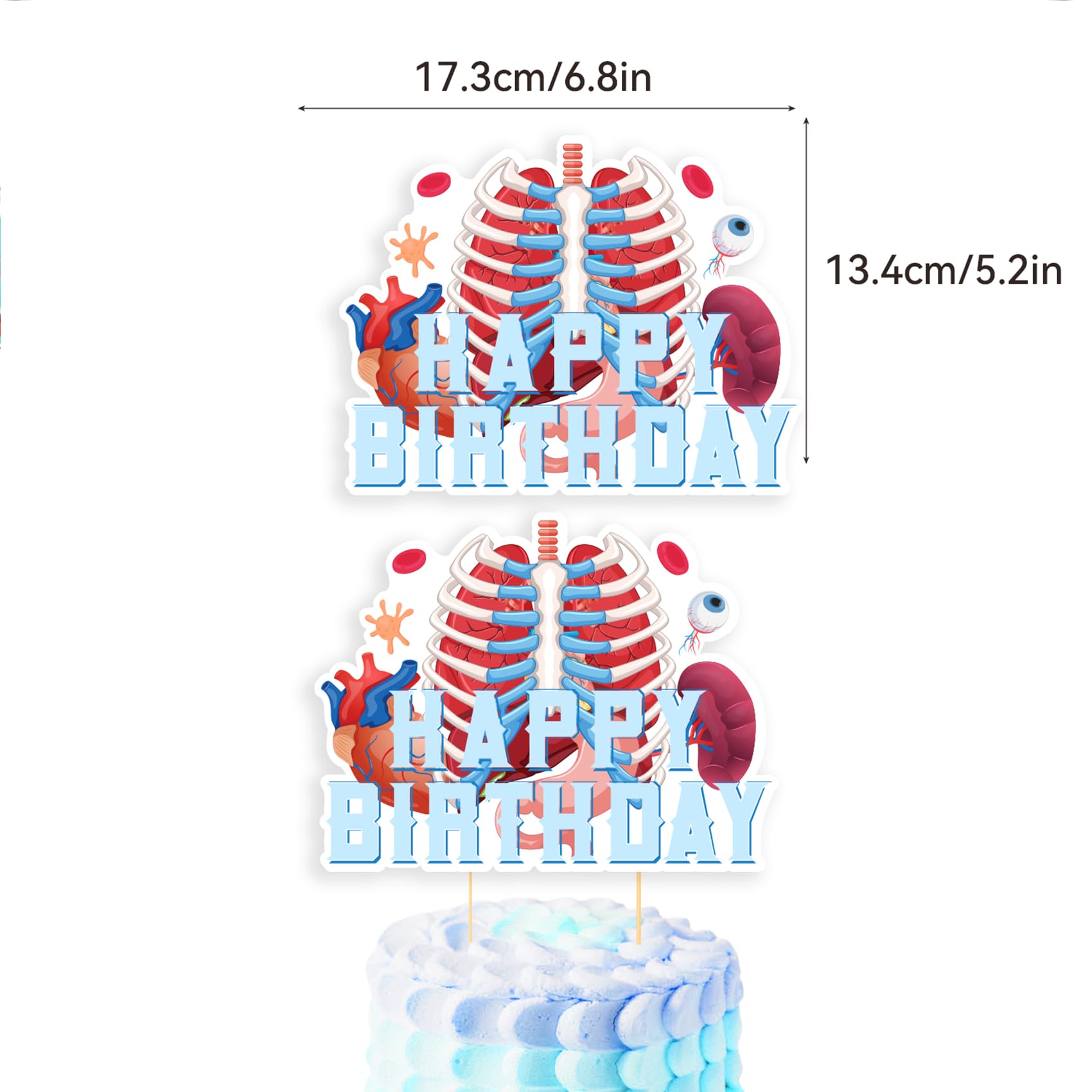 Human Anatomy Party Decorations Set - Happy Birthday Banner, Cake Topper, Cupcake Toppers & Balloons for Medical Themed Parties, Halloween Decor, Science Classroom Decorations
