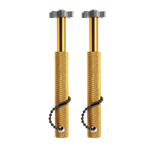2 Gold