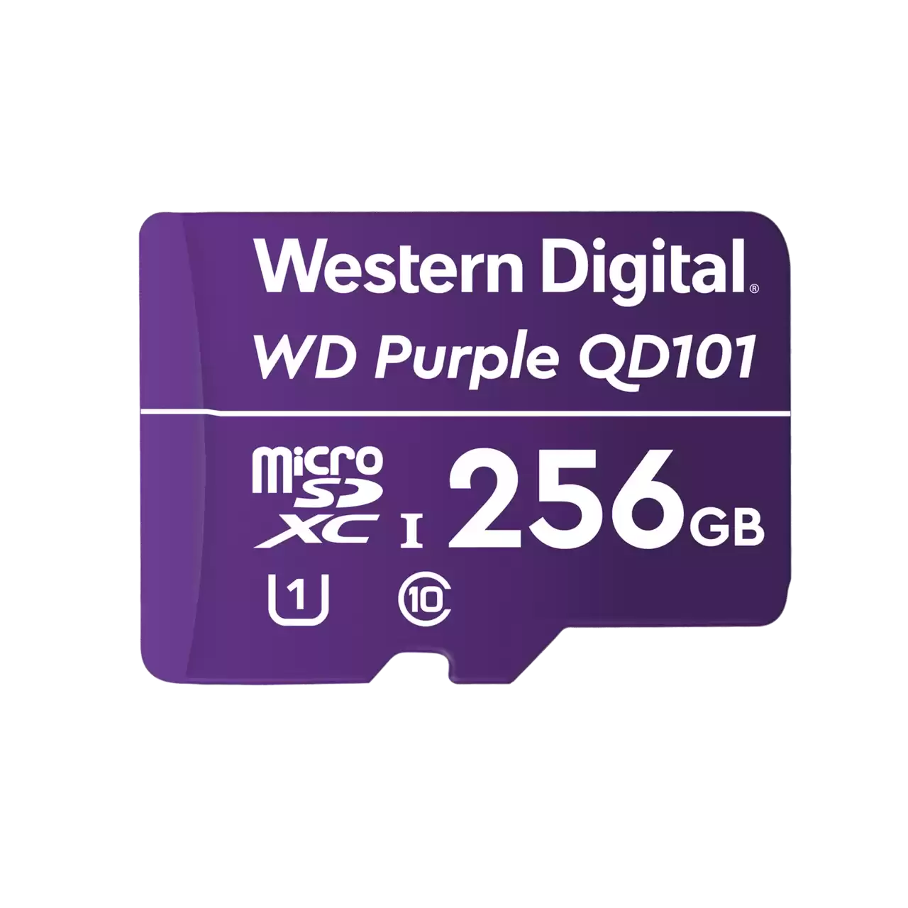 High-Capacity 64GB & 256GB MicroSD Cards for Security Cameras - Extreme Endurance, 24/7 Surveillance, Weatherproof - Perfect for Home Security Systems, Dash Cams, and Outdoor Monitoring