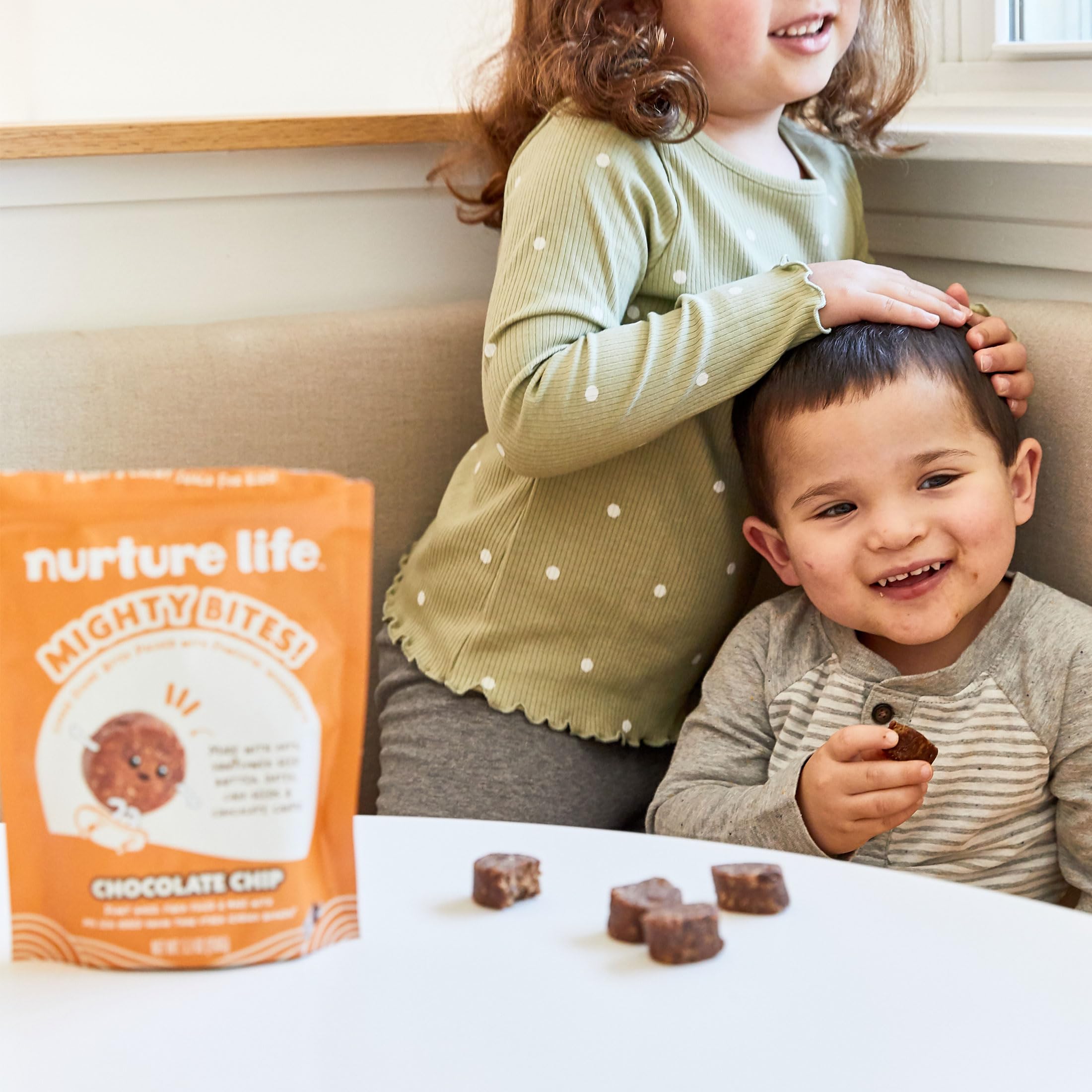 Organic Chocolate Chip Oatmeal Bites for Kids & Toddlers – High Protein, High Fiber, Low Sugar Healthy Snacks | Plant-Based Mighty Bites for School, Travel & On-the-Go | 15-Piece Pack (Nurture Life)