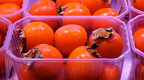 Premium 20x30 Inch Laminated Persimmon Fruit Stand Poster - Vibrant Colors & HD Imagery - Perfect for Kitchen Decor, Dining Room Wall Art & Farmers Market Displays