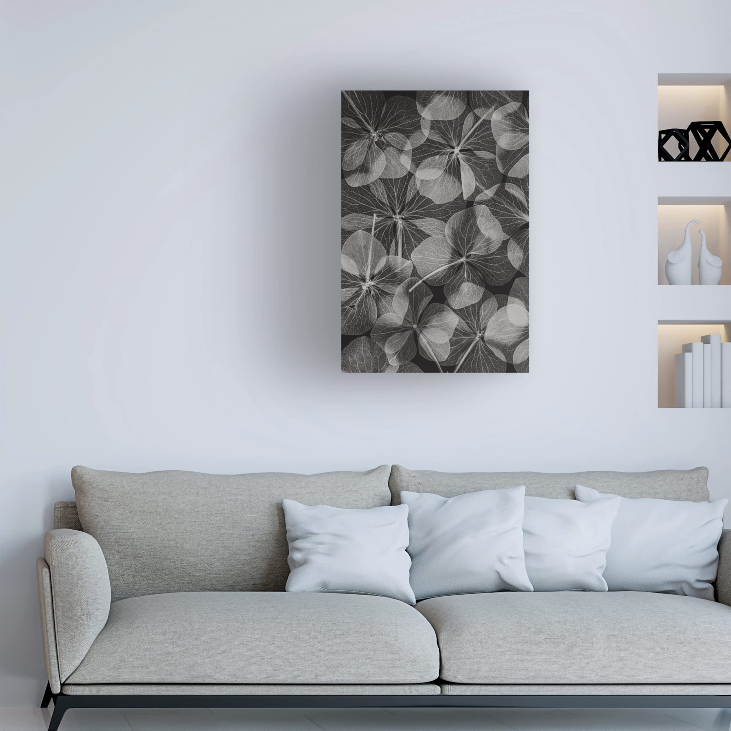 Trademark Fine Art 'Botanical 48' Floral Canvas Wall Art Print by Lenka - Perfect for Living Room, Bedroom & Office Decor